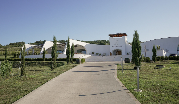 Chateau Grand Bari
